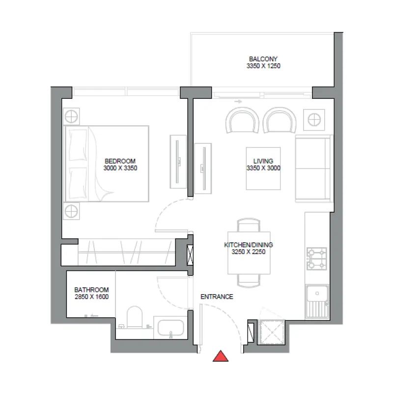 1 bedroom floor plan