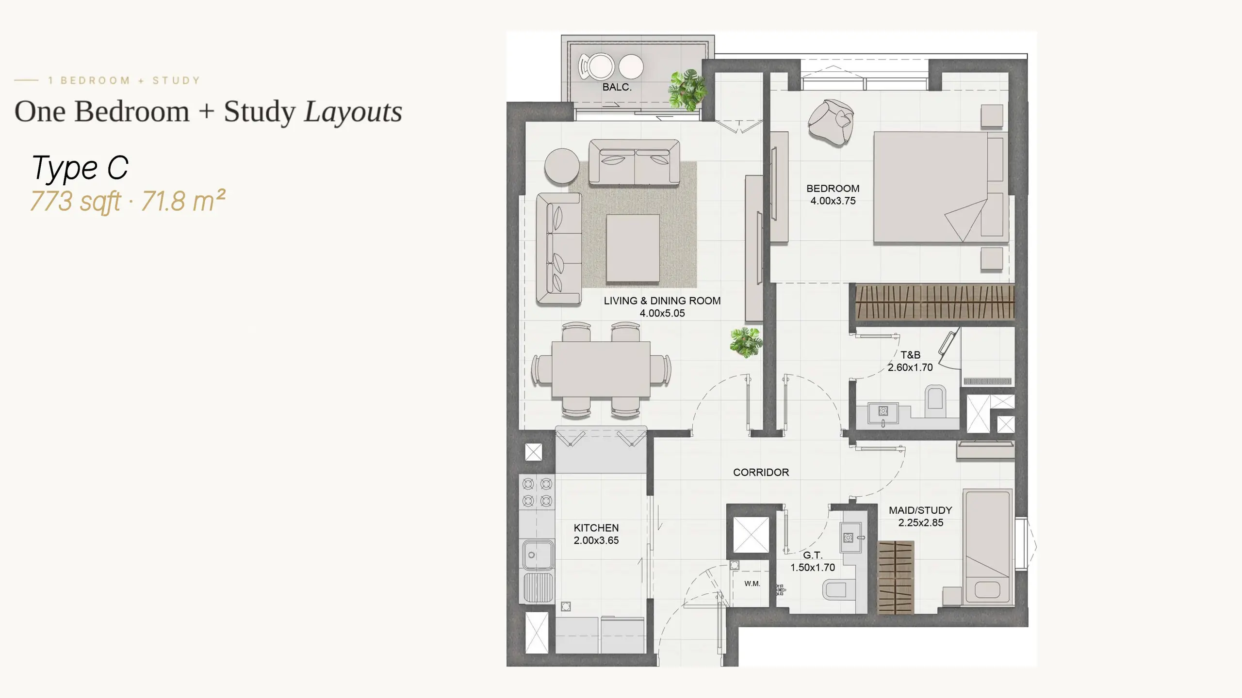 Type C + Study floor plan