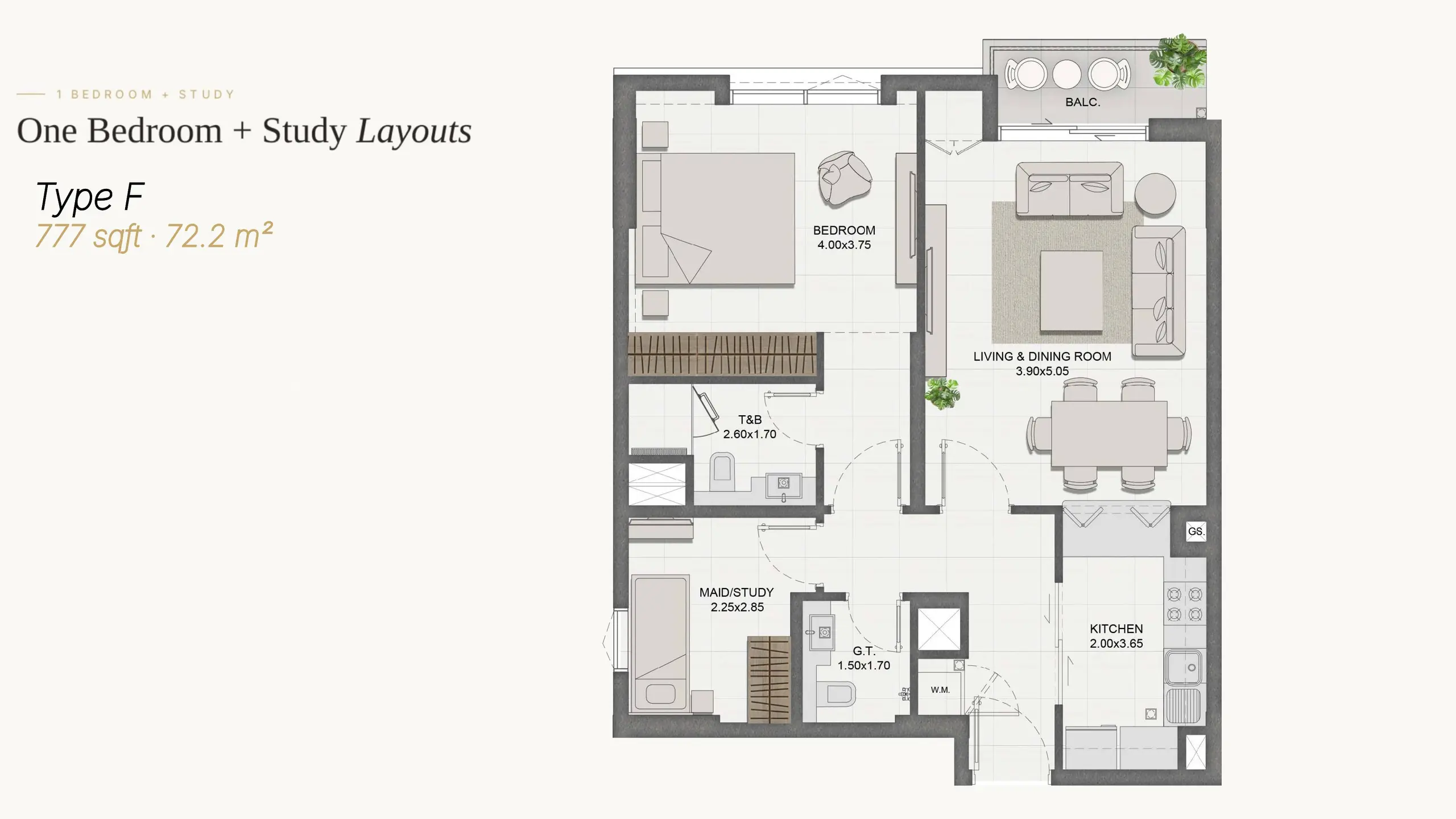 Type F + Study floor plan