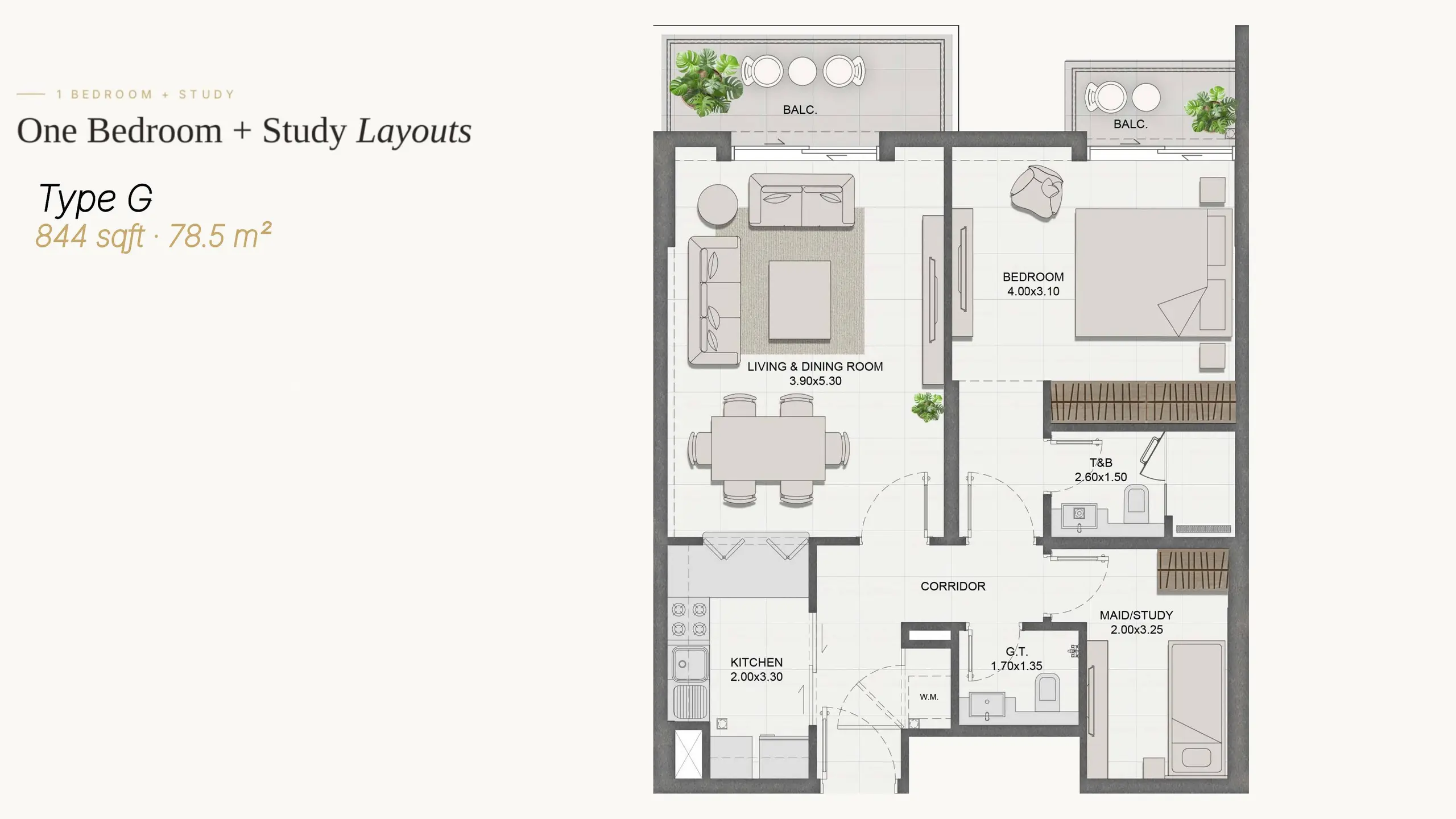Type G + Study floor plan
